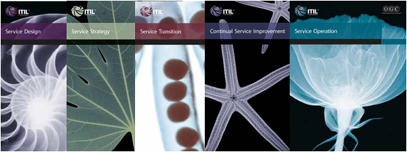 5 livros ITIL V3